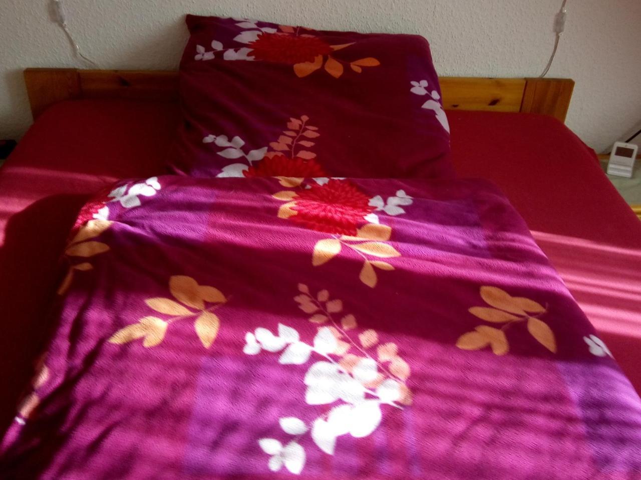 Monteurhotel Garni Alter Olper Hof Линдлар Экстерьер фото